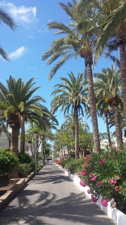 Simple Apartment Frontera Primavera Pool In South Tenerife 德尔锡伦西奥海岸 外观 照片